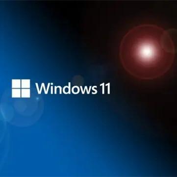 Chine Activation en ligne de vie de téléchargement de pro clé de poste de travail de Windows 11 de logiciel à vendre