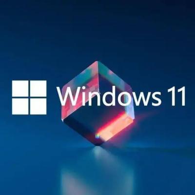 China Llave serial de Windows 11 puros de la vida útil favorable, llave de la activación de la educación de RAM Windows 11 en venta