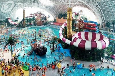 中国 冒険の娯楽Waterparkの水しぶきの乗車のためのスペース ボールのガラス繊維水スライド 販売のため