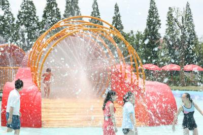 China Outdoor Amusement Crab Maze Fiberglass Equipment Water Park Large Aqua Play for sale