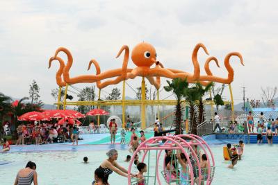 China Customized 8m Height Octopus Spray  For Aqua Water Playground Equipment for sale