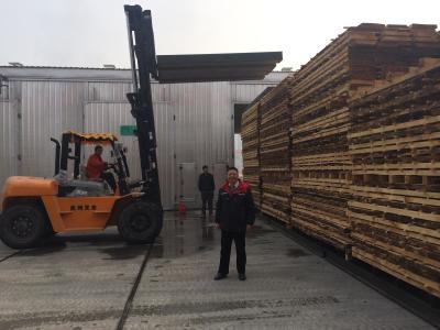 Chine Isolation de séchage du bois rapide fiable de fibre de verre de chambre pour le bois tendre à vendre