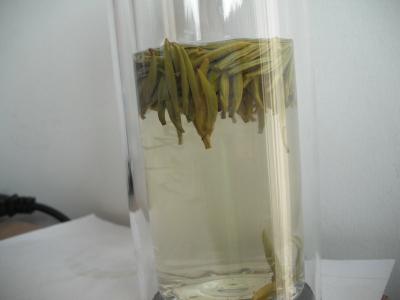 Chine Nuages/thé frais de Mao Jian de thé vert YUN Wu de brume avec le certificat de l'USDA à vendre