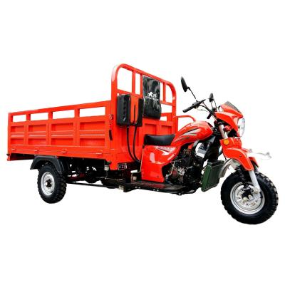 China 800W Motor DAYANG 3 Wheel Trike E Rickshaw for Heavy Load Transportation in Myanmar for sale