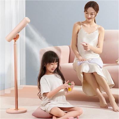 Chine Mains de libération verticales Ion Hair Care Quick Drying négatif de sèche-cheveux à vendre