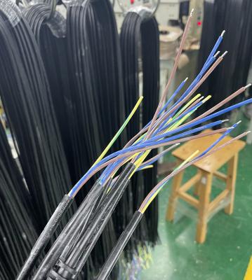 China conector hembra-varón eléctrico de la prenda impermeable de la haz de cables del vehículo de 4P 5P 6P en venta