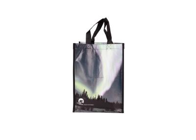 China Laminated Non Woven Recycled Shopping Bags , Handled Promotional Retail Shopping Bags for sale