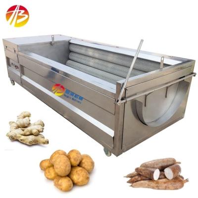 China Durable Industrial Ginger Horseradish Washing and Peeling Machine with 380V Voltage for sale