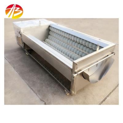 China 304 Stainless Steel Portable Vegetable Brush Type Washing And Peeling Machine For Yam for sale