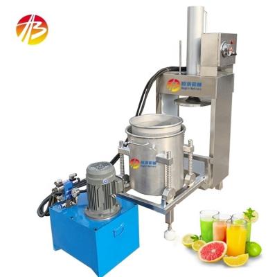 China Fruit and Vegetable Meat Processing Equipment Hydraulic Cold-Press Juicer for Commercial for sale