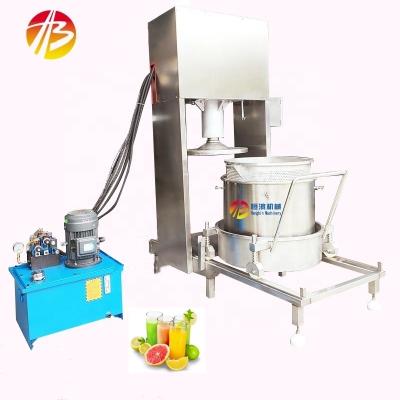 China Vegetable Fruit Juice Squeezing Machine for Food Beverage Hydraulic Grape Press Juicer for sale