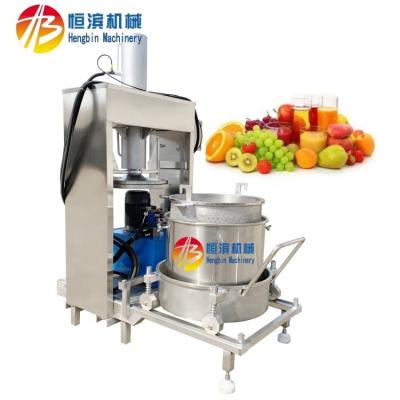 China SUS304 Commercial Hydraulic Cold Press Juicer for Fruit and Vegetable Juice Extraction for sale