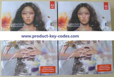 China Cs6 Adobe Photoshop Product Key , adobe creative suite 6 design and web premium for sale
