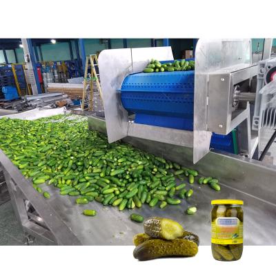 China Linha de produção de pepino em conserva em conserva Linha de processamento de pepino em conserva à venda