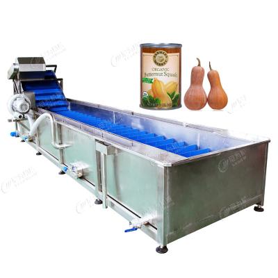 China Automatic Bubble Fruit And Vegetable Apricot Washing Cleaning Equipment Line 800kg for sale