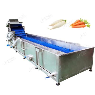 China Multiple Temperature Control Carrot Washer Washing Machine Radish Cleaning Machine for sale