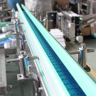 China Automatic Custom Plastic Table Top Conveyor Chain For Filling Packaging Line for sale