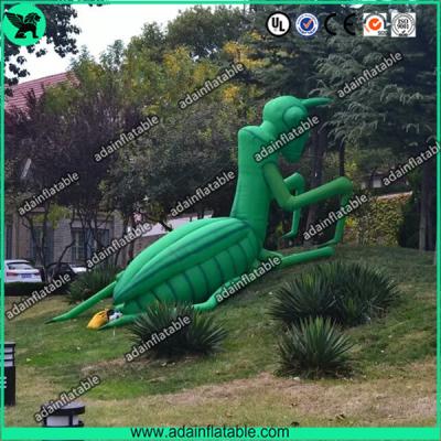 China Inflatable Mantis for sale