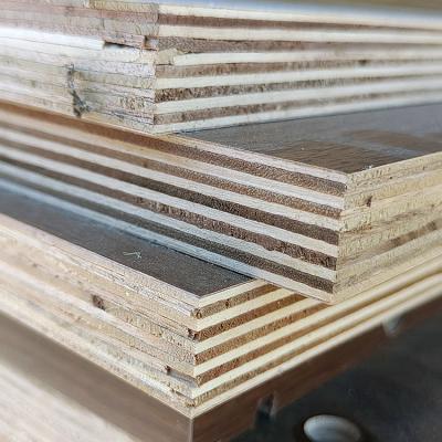 China 4*8 Poplar Eucalyptus Hardwood Plywood For Furniture for sale