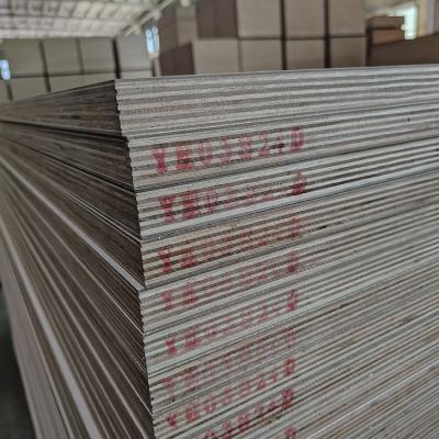 China 4x8 Feet 1/2 3/4 5/8 Thickness Melamine Plywood Price for sale