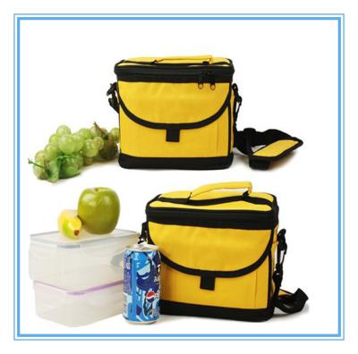 China 600D / 420D Food Cooler Bag Polyester Outdoor Designer Custom Logo for sale