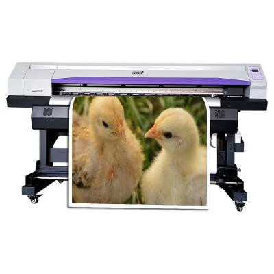 China carpet printing machine best selling printer for sales low price excellent quality color printer for sale