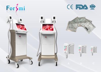 China effective result in one treatment lazer liposuction alternatives to liposuction price 15 inch screen for sale