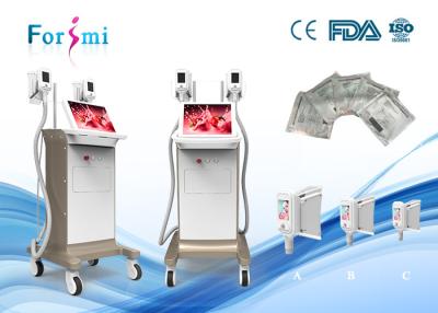 China ultrasound units laser fat reduction treatments 15 inch screen -15 Celsius low temprature 2 handles working for sale