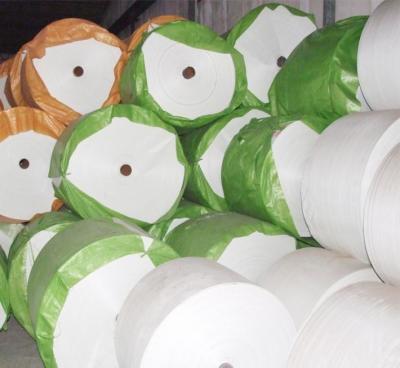 China PP Woven Sack Roll UV treated 650D - 2000D White Polypropylene Fabric for sale