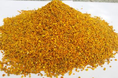 중국 혼합 성격 꿀벌 힘 꽃가루 24 달 만기일 20 킬로그램/판지 판매용
