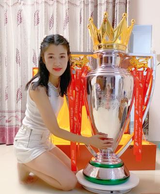China 390mm Height Premier League Trophy CCC For Football Match for sale