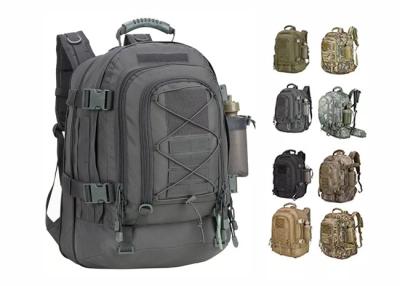 China Waterproof Molle Hiking Camping Bags 39L-60L Multifunctional Durable for sale