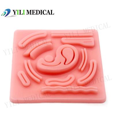 China Ultralarge Abdominal Cavity Silicone Simulation Pad Laparoscopic Suture Practice Training Model Pad for sale