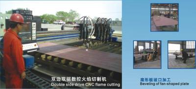Китай Частота коротковолнового диапазона автомата для резки стальной плиты плазмы пламени CNC сервопривода продается