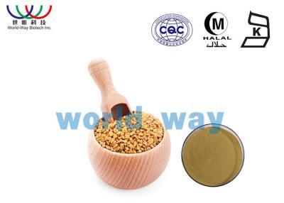China Natural Herbal Fenugreek Extract Powder Characteristic Odor Enhances Pancreas'S Function for sale