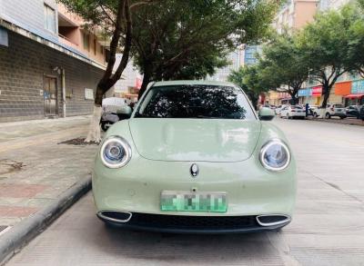 中国 電気SUV ORAよい猫150km/hは4大人のための車輪ドライブ長期 販売のため
