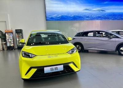 China Nieuwste geïntroduceerde BYD EV auto- Volwassenen EV Byd Seagull 2023 Gratis Edition Solar Electric Car Te koop