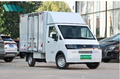 China Rein elektrischer Van Neomor D05 elektrische Mikrokarte konzentriert sich auf den Bereich der städtischen Logistikverteilung, Zäune & van versio zu verkaufen