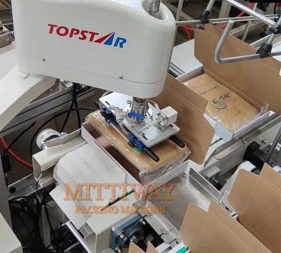 China Automatic Robot Bag Case Packer Adjustable Operating Speed for sale