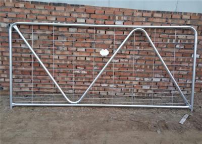 China N Type Metal Cattle Fence , Metal Tube Farm Gates With W / Hinge And Latch for sale