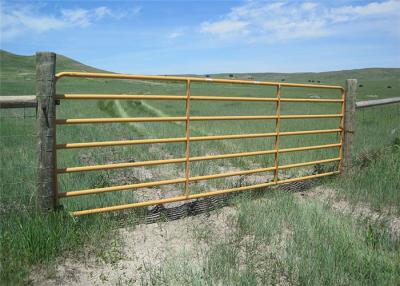 China 42*1.5mm Galvanized Steel Cattle Panels , Smooth Welding Portable Cattle Panels for sale