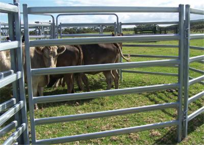 China Tamaño de acero del tubo del panel los 42x115MM de la cerca del ganado del hierro para el caballo de protección en venta