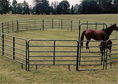 China corrales portátiles del caballo de la altura de los 2.7m, los paneles galvanizados estructura fuerte del corral del caballo en venta