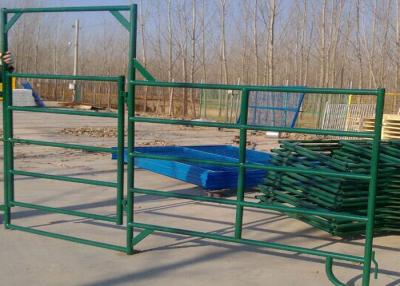 Chine Le bétail résistant de 16 pieds clôture la dimension carrée de tuyau du × 40mm des panneaux 40mm à vendre