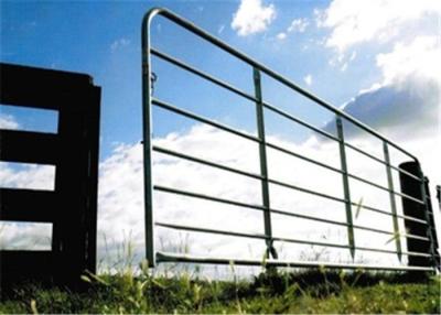 China 10ft / 12 Foot Farm Gate Fence , 25nb Pipe Livestock Metal Agricultural for sale
