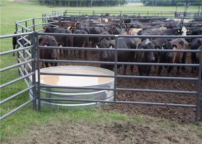 China Höhe der Pferde-oder Schaf-Viehhof-Hürden-Zaun-Platten-/1.6m galvanisierte Vieh-Platten zu verkaufen