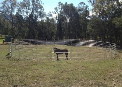 Cina Il recinto per bestiame portatile di bassa potenza del cavallo riveste l'Assemblea e lo smontaggio di pannelli facili in vendita