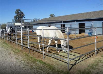中国 パネル/牛を囲っている屋外の個人化された家畜は塀のゲートにパネルをはめます 販売のため