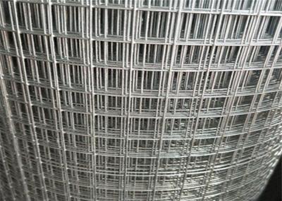 China Aviary Welded Wire Fence Roll / Metal Mesh Roll 3'X100' Square Hole for sale