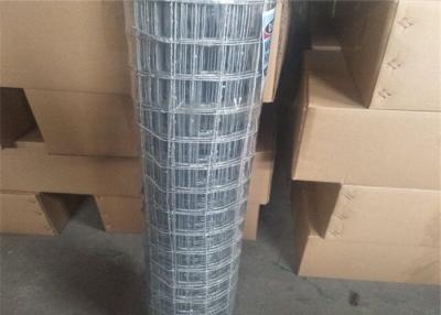 China 2''X2'' Welded Wire Mesh Rolls And Panel For Construction 1.2m Width for sale